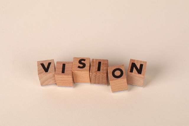 Vision